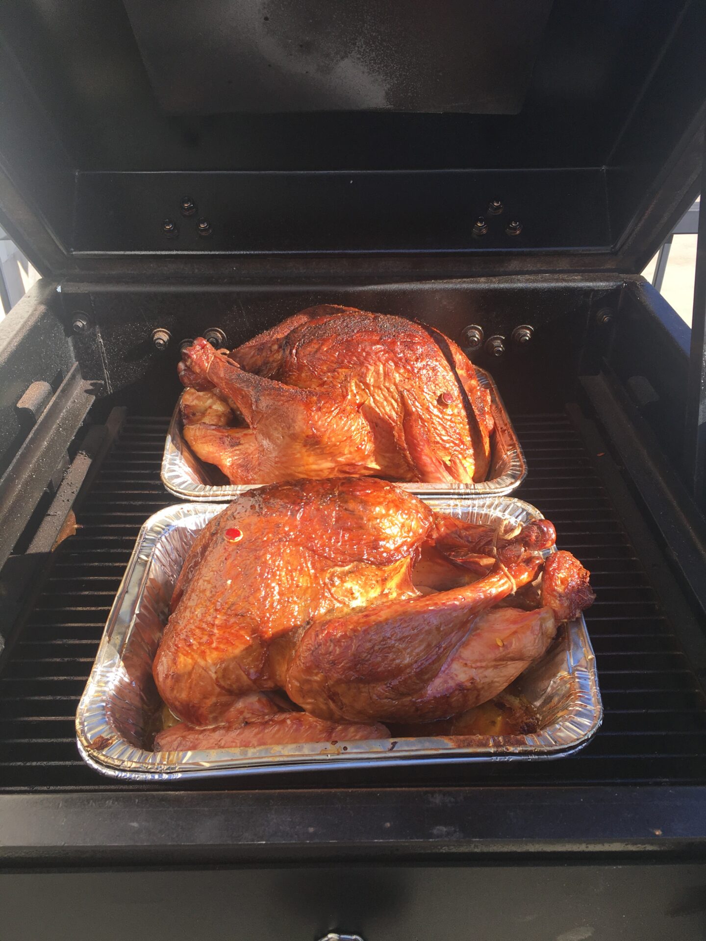 Turkeys on the Bar-Be-Cube