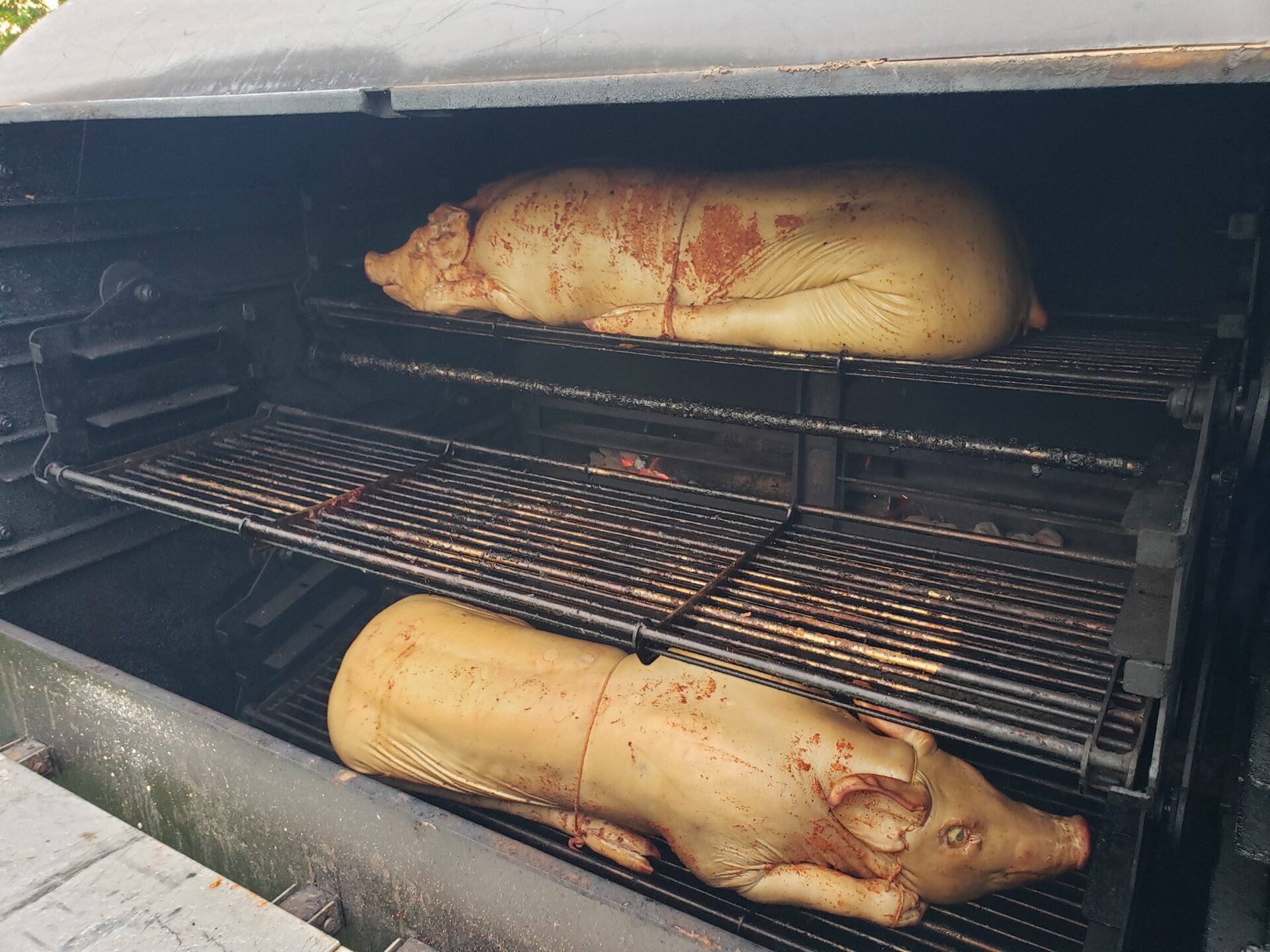 whole pigs cooking in The Judge