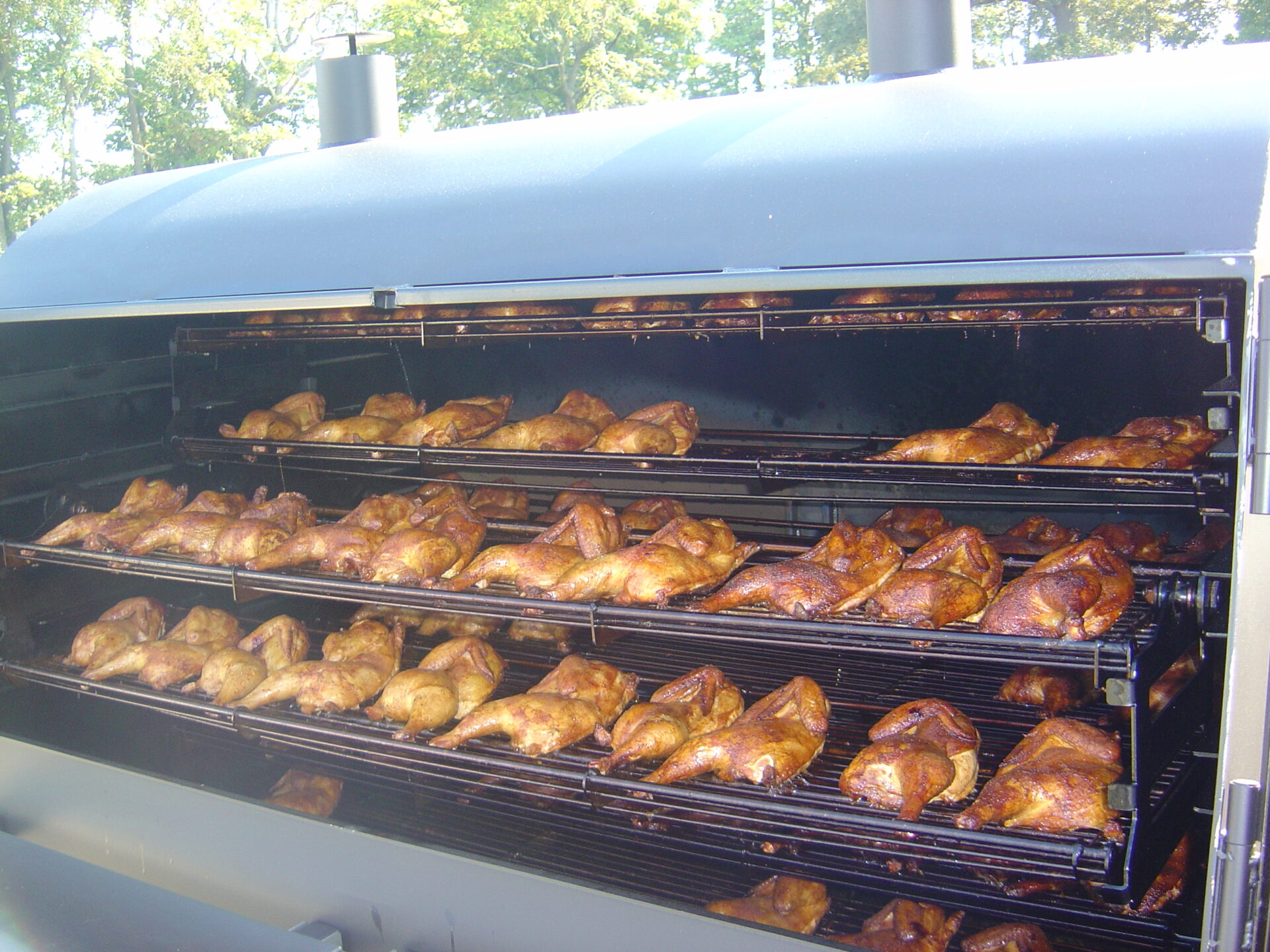 lots of chickens cooking in The Judge