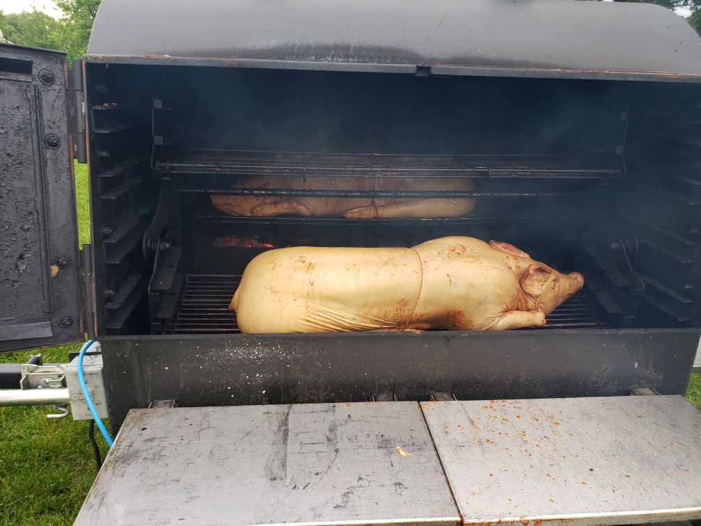 whole pigs cooking in The Judge smoker