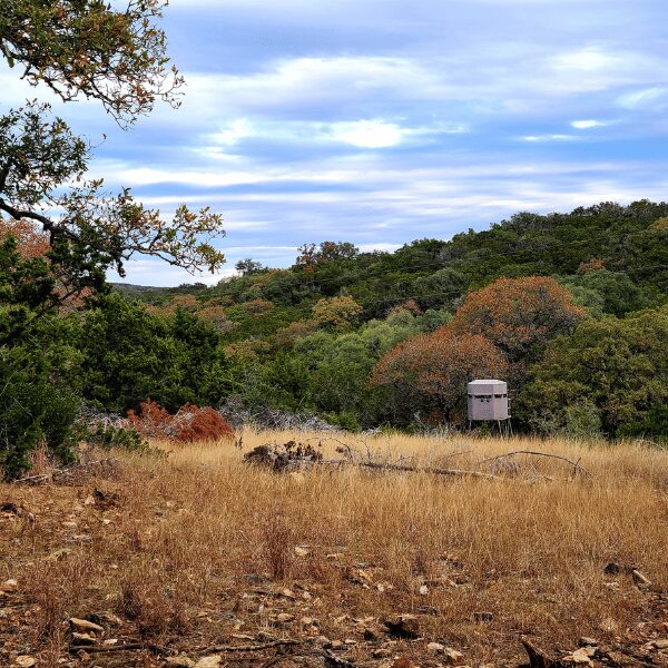 Image showing a deer stand, used by hunters to hunt for game meats.