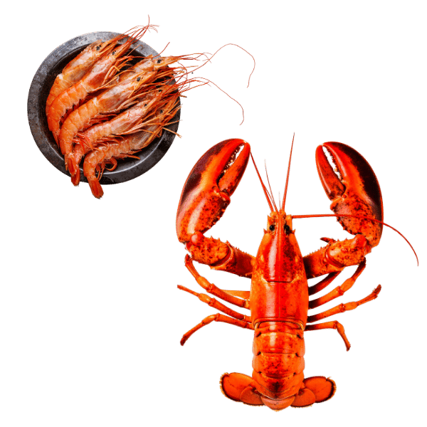 Seafood including prawns and lobster, some of the best foods to cook on a Santa Maria grill. 